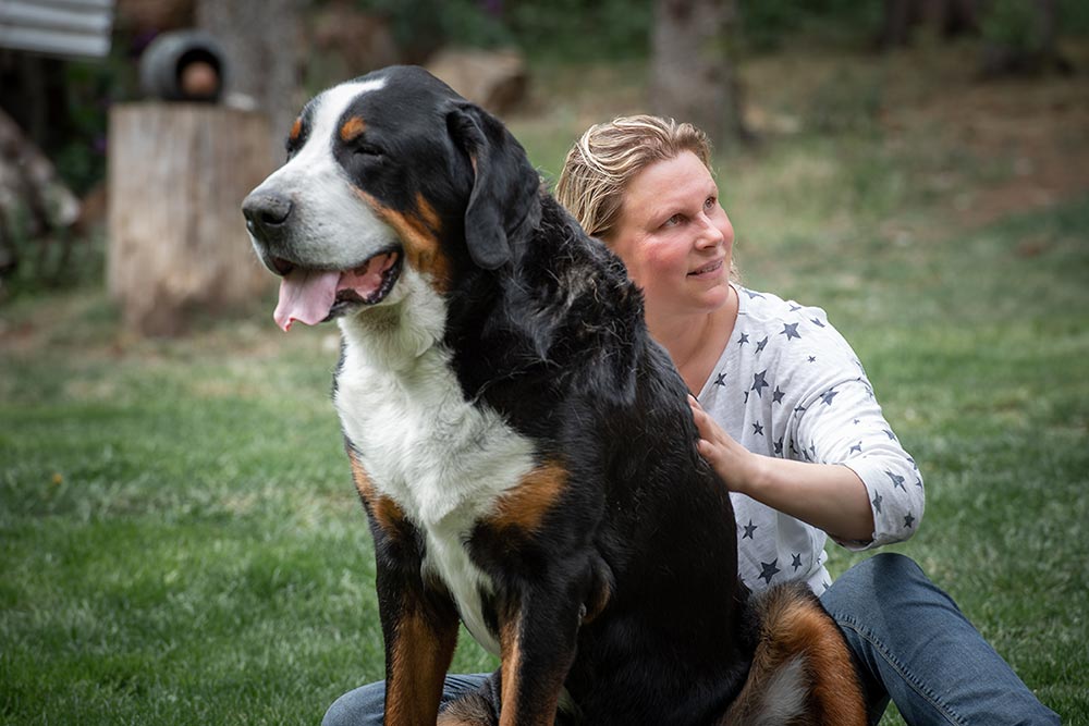 Hintergrundbild, Tierphysiotherapeutin sitzt hinter Hund massiert Hund den Rücken